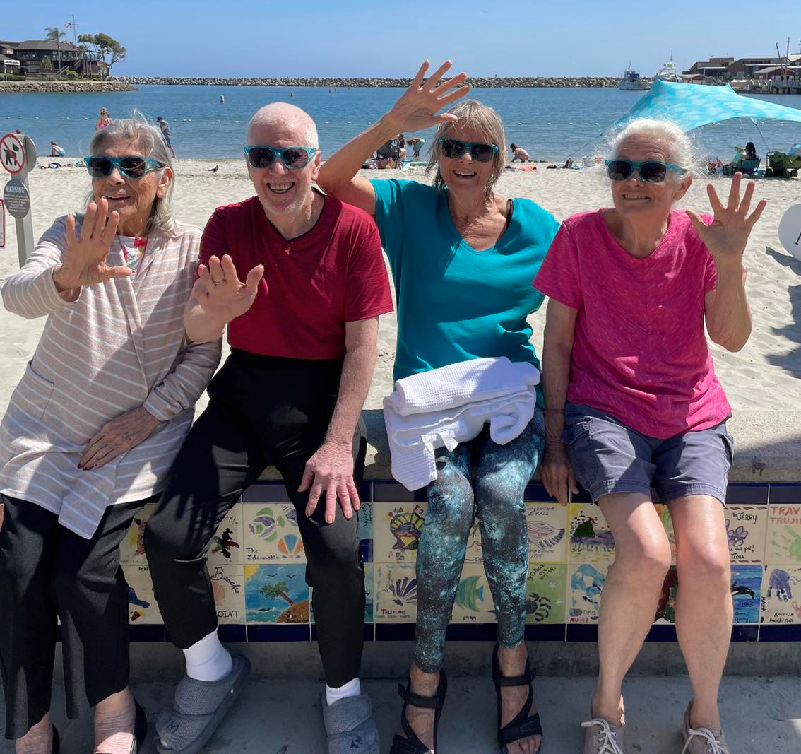 Group of seniors enjoying beach outing together
